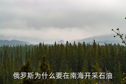 俄越為什么在南海采油，越南在南海開(kāi)采石油我國(guó)為什么不開(kāi)采