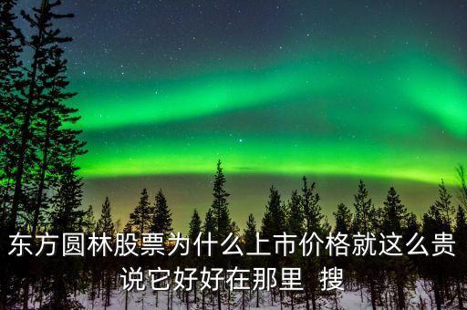 東方圓林股票為什么上市價格就這么貴說它好好在那里  搜