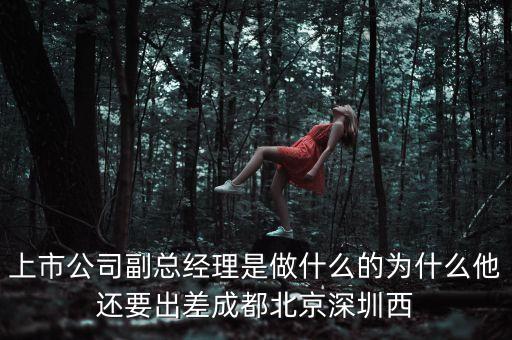 上市公司副總經(jīng)理是做什么的為什么他還要出差成都北京深圳西