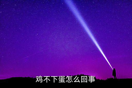 雞不生蛋是什么原因，雞為什么不下蛋