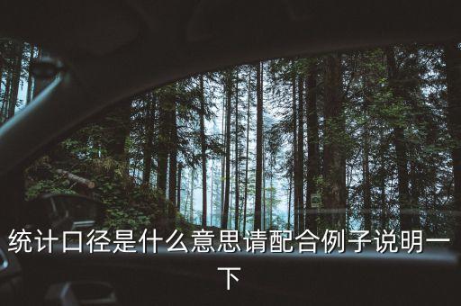 全口徑統(tǒng)計(jì)是什么意思，財(cái)務(wù)數(shù)據(jù)中全口徑數(shù)據(jù) 和 半口徑數(shù)據(jù)分別指什么