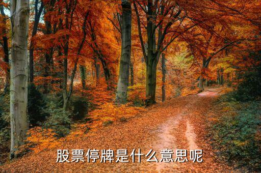 開市起停牌是什么意思，開市起停牌是什么意思