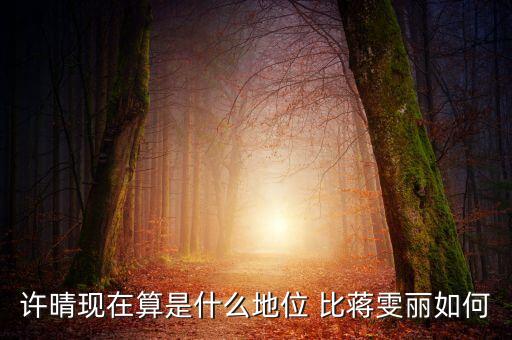 徐晴什么，許晴主演過的電視劇