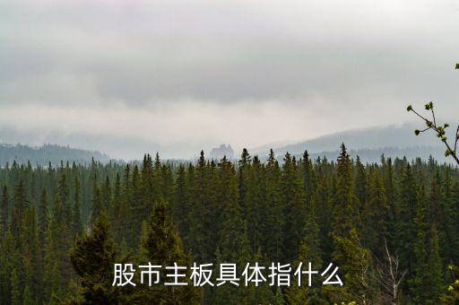 股市主板指什么，股市主板具體指什么