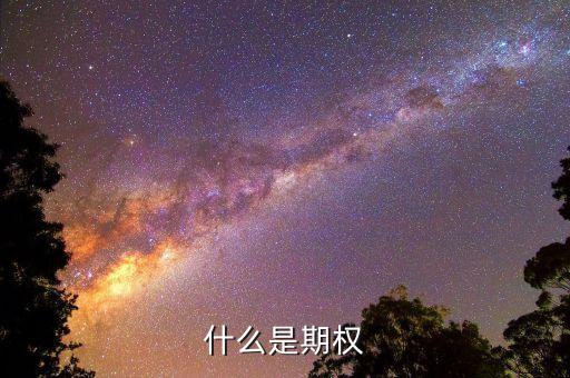 什么是期權(quán)