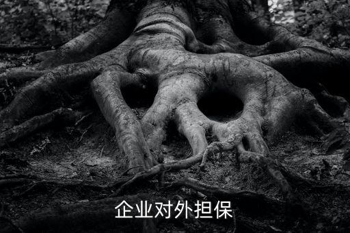 企業(yè)對外擔(dān)保