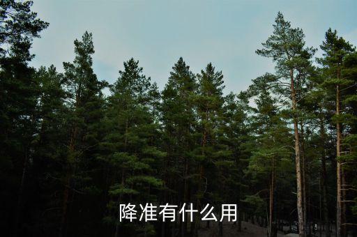 降準(zhǔn)有什么好處，降息降準(zhǔn)的作用有什么