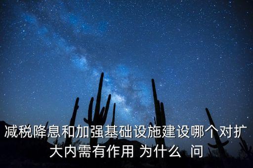 減稅降息和加強基礎(chǔ)設(shè)施建設(shè)哪個對擴(kuò)大內(nèi)需有作用 為什么  問