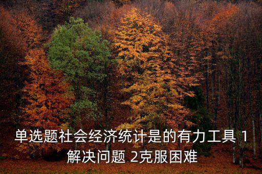 社會(huì)經(jīng)濟(jì)統(tǒng)計(jì)是什么有力工具，單選題社會(huì)經(jīng)濟(jì)統(tǒng)計(jì)是的有力工具 1 解決問(wèn)題 2克服困難