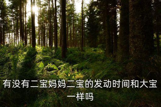 有沒有二寶媽媽二寶的發(fā)動時間和大寶一樣嗎