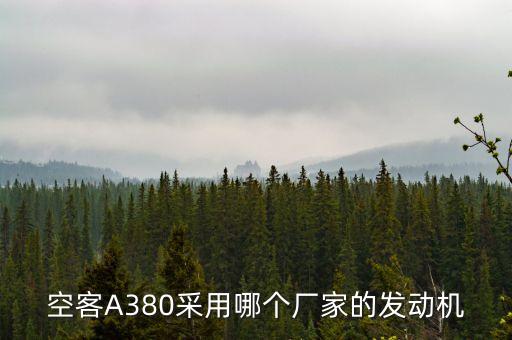 空客a380是什么發(fā)動機，空客A380采用哪個廠家的發(fā)動機
