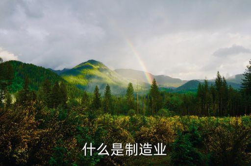 什么是制造業(yè)