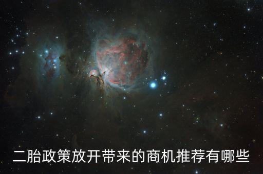 二胎政策賣什么，生二胎新政策2015搶生是什么意思
