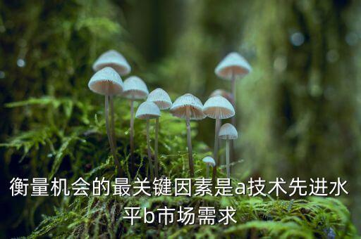 衡量機(jī)會的最關(guān)鍵因素是a技術(shù)先進(jìn)水平b市場需求