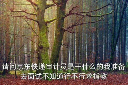 請(qǐng)問(wèn)京東快遞審計(jì)員是干什么的我準(zhǔn)備去面試不知道行不行求指教