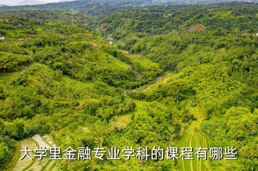 黑大金融專業(yè)大二都有什么專業(yè)課，金融專業(yè)有哪些課程