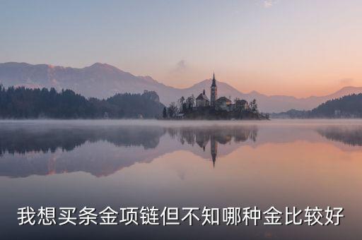 我想買條金項鏈但不知哪種金比較好