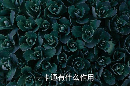 快錢金融一卡通有什么用，一卡通有什么用