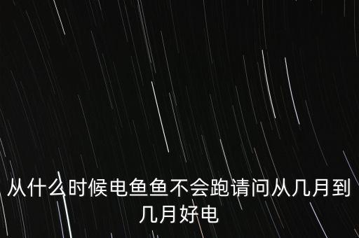 從什么時候電魚魚不會跑請問從幾月到幾月好電