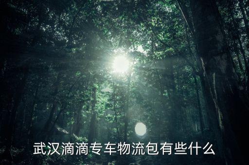 滴滴物料包都含些什么，誰知道現(xiàn)在滴滴專車的物料包都有什么需要花錢買嗎