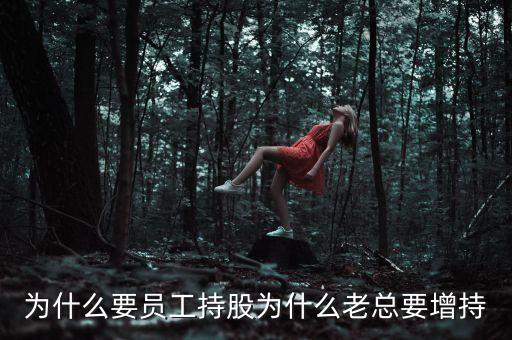董事長增持意味什么，董事長增持公司股雩說明什么