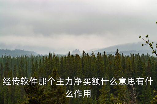 主力大額凈買是什么意思，主力凈買是什么意思
