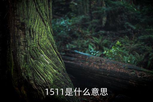 if1511是什么，1511是什么意思
