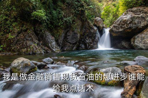 我是做金融銷售現(xiàn)貨石油的想進步誰能給我點話術(shù)