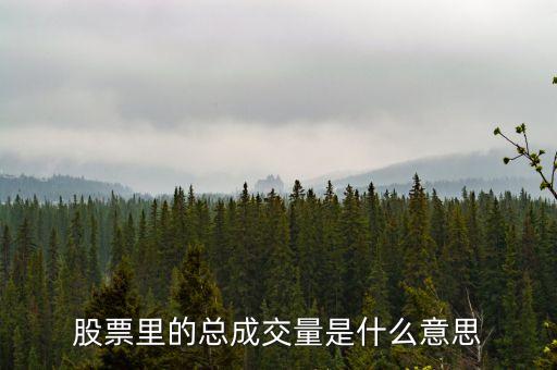 股票里的總成交量是什么意思