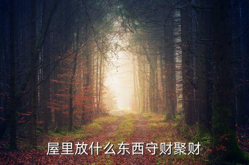 帶什么能聚財嗎，屋里放什么東西守財聚財