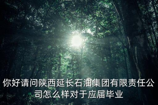 你好請(qǐng)問(wèn)陜西延長(zhǎng)石油集團(tuán)有限責(zé)任公司怎么樣對(duì)于應(yīng)屆畢業(yè)