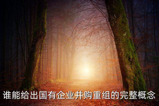 國(guó)有企業(yè)改革重組什么意思，誰(shuí)能給出國(guó)有企業(yè)并購(gòu)重組的完整概念