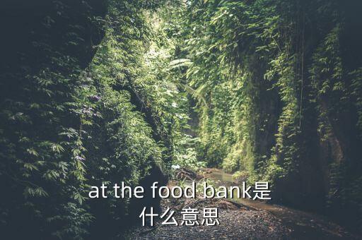 糧食銀行什么意思，at the food bank是什么意思