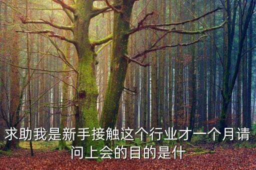 求助我是新手接觸這個行業(yè)才一個月請問上會的目的是什