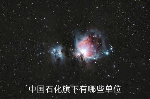 中國歐盟商會有什么企業(yè)，中國國外的企業(yè)有哪些