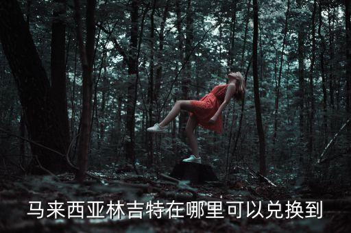 馬來(lái)西亞林吉特在哪里可以兌換到