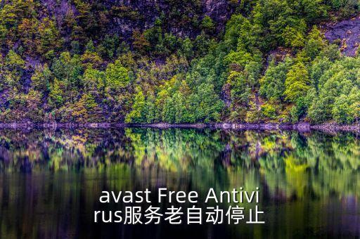 avast Free Antivirus服務(wù)老自動(dòng)停止