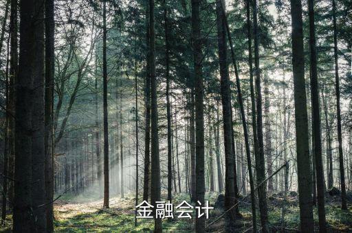 金融會(huì)計(jì)