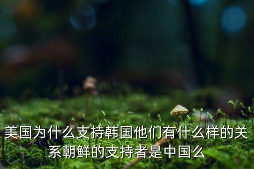 美國為什么援助朝鮮，美國為什么支持韓國他們有什么樣的關(guān)系朝鮮的支持者是中國么