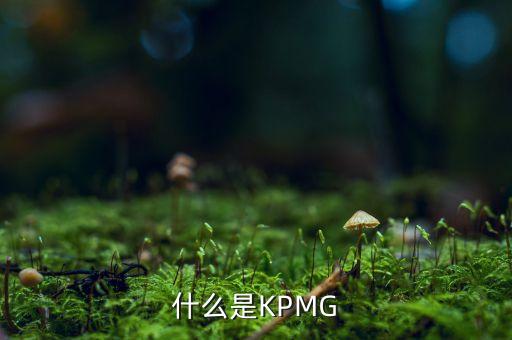 為什么選擇kpmg，kpmg面試