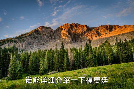 誰能詳細(xì)介紹一下福費(fèi)廷