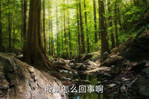 股票為什么會，股票的原理是什么