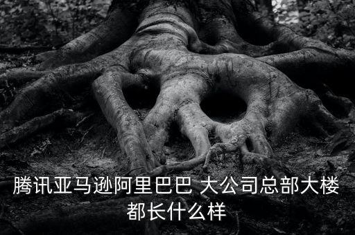 騰訊亞馬遜阿里巴巴 大公司總部大樓都長什么樣