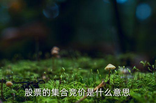 股票的集合競價(jià)是什么意思