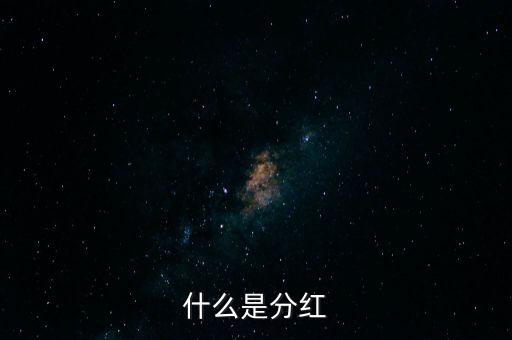什么是分紅