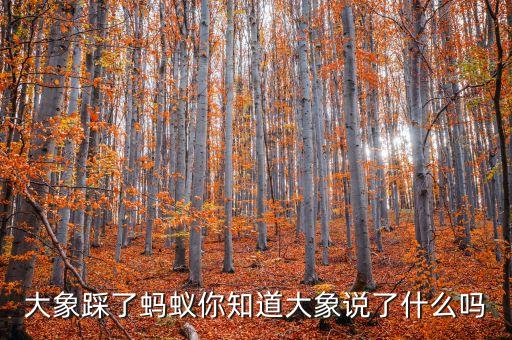 大象踩了螞蟻你知道大象說(shuō)了什么嗎