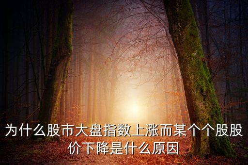 為什么股市大盤指數(shù)上漲而某個個股股價下降是什么原因