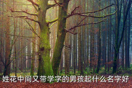 花老怪的學(xué)和叫什么名字，姓花中間又帶學(xué)字的男孩起什么名字好