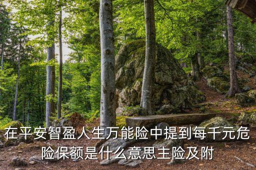 主險是什么意思，中國平安保險的主險合同是什么意思