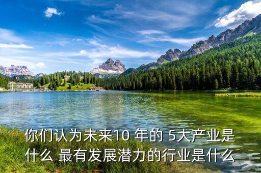 你們認(rèn)為未來(lái)10 年的 5大產(chǎn)業(yè)是什么 最有發(fā)展?jié)摿Φ男袠I(yè)是什么